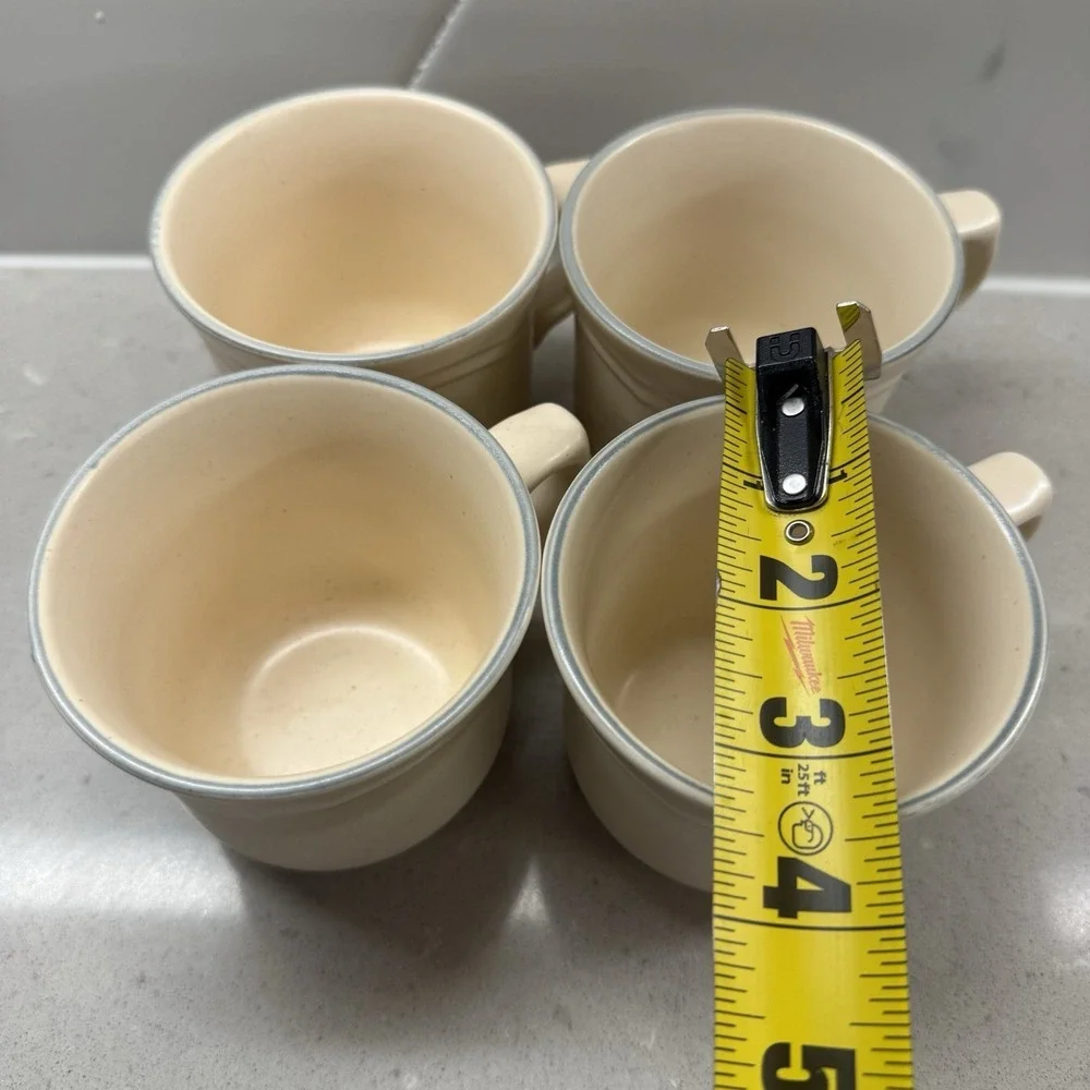 PFALTZGRAFF REMEMBRANCE Set Of 16, 4 Each Dinner, Salad, Saucer Plates, Tea Cups